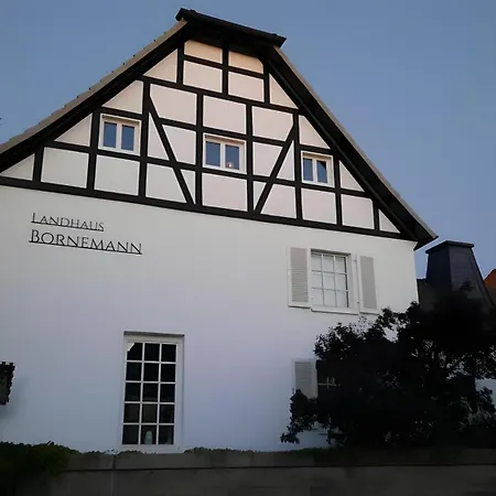 Bornemann 7 *